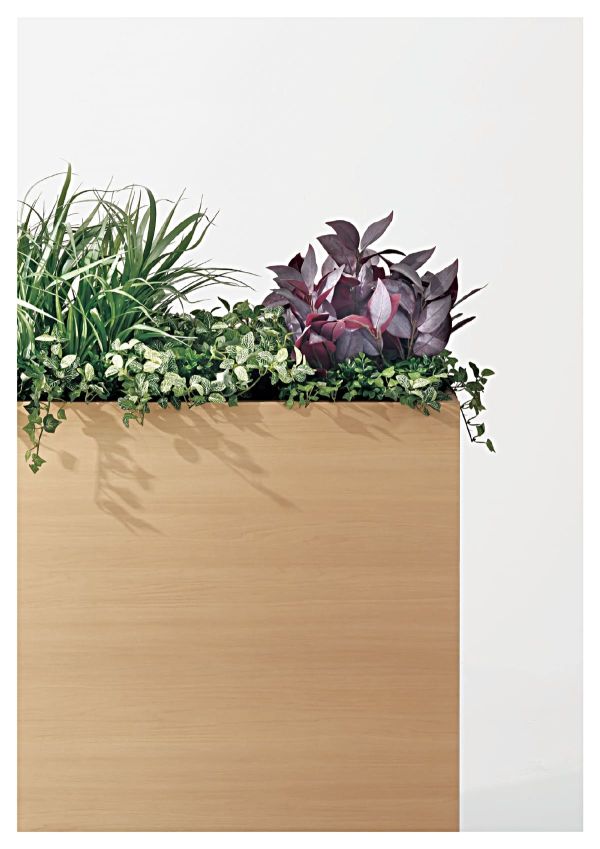 プランターボックスのカタログ画像-2