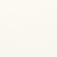 ホワイト（HT）