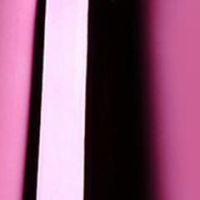 フクシャピンク