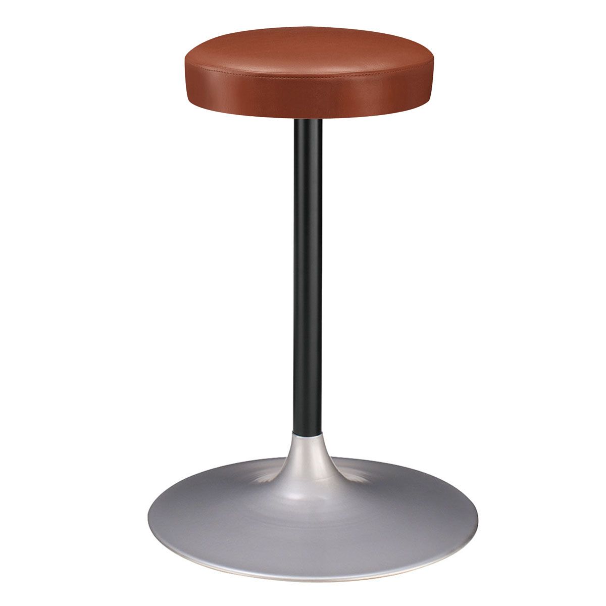 サリー スチール脚 (別張品)-画像1