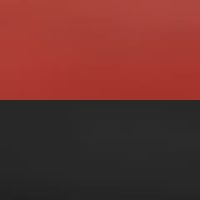 レッド/ブラック