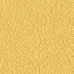 Bランク合成レザー スイーパー／Y