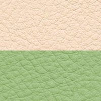 アイボリー／ライトグリーン