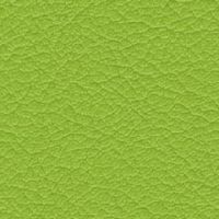 イエローグリーン（合成レザー）