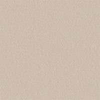 サテンアッシュトープ