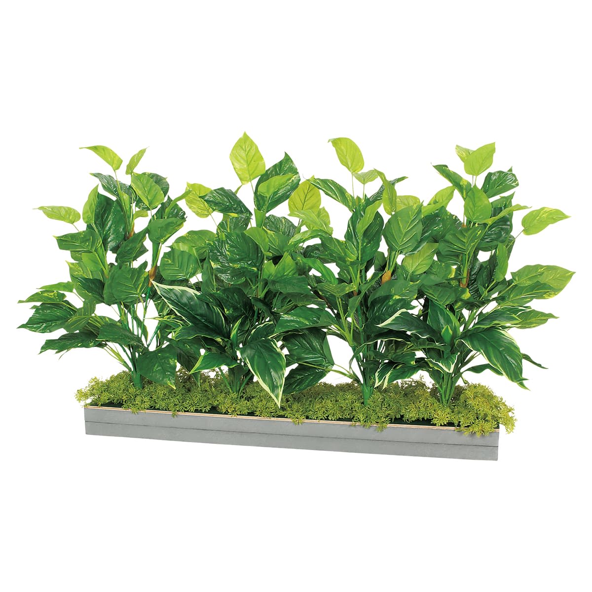 モナカ ワイドグリーン H650-画像1