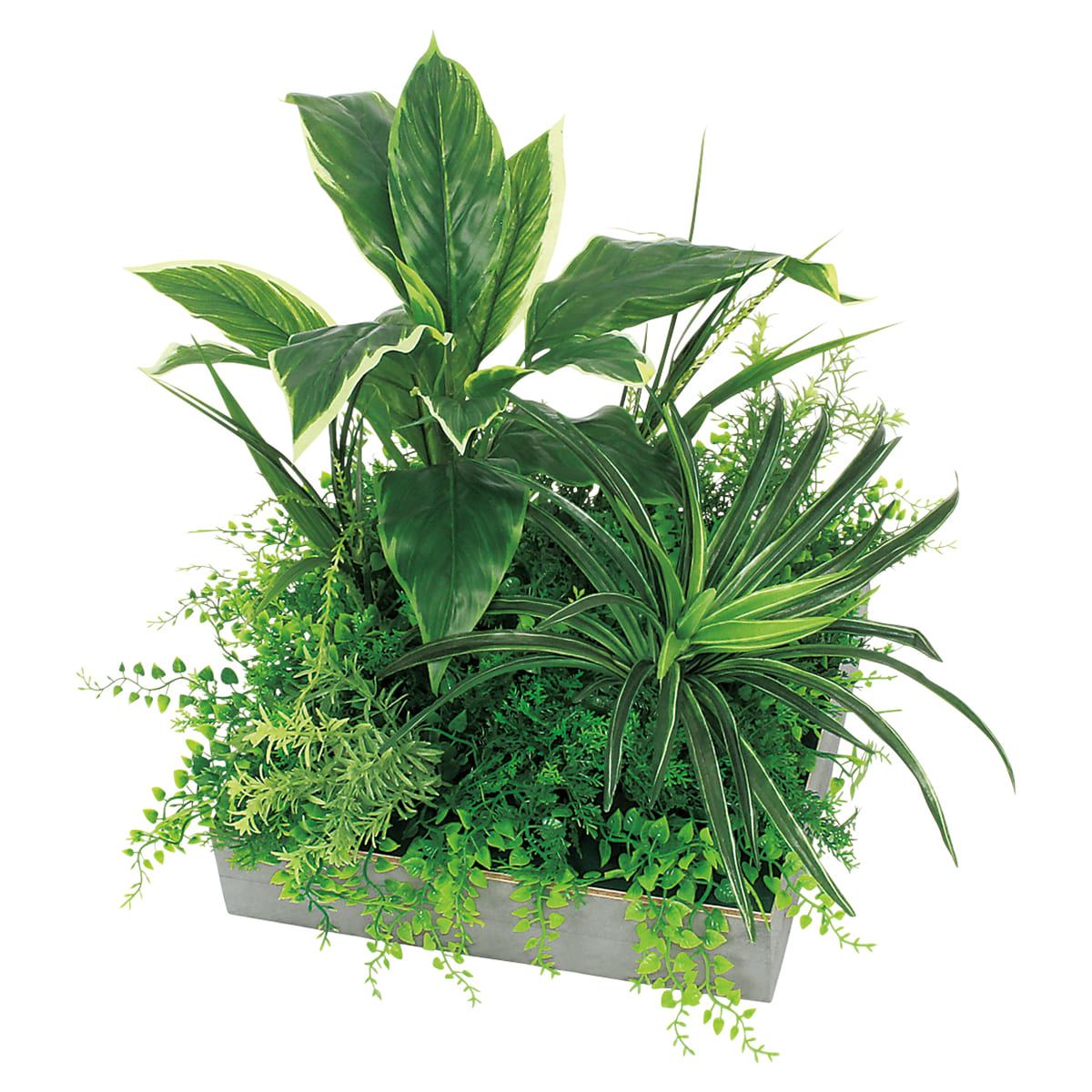 ロトス スクエアグリーン W280 ロー-画像1