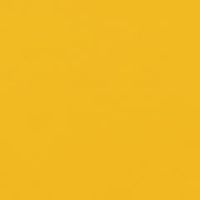 ライトオレンジ