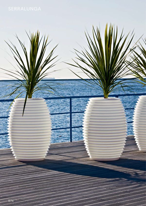 セラルンガ トップポットのカタログ画像-2