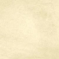 モレスキン／シャンパン