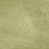 モレスキン／ライム