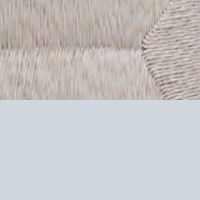 WS5+ホワイトパール