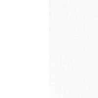 ホワイト+T28ホワイト