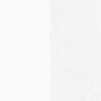 ホワイト＋T28ホワイト