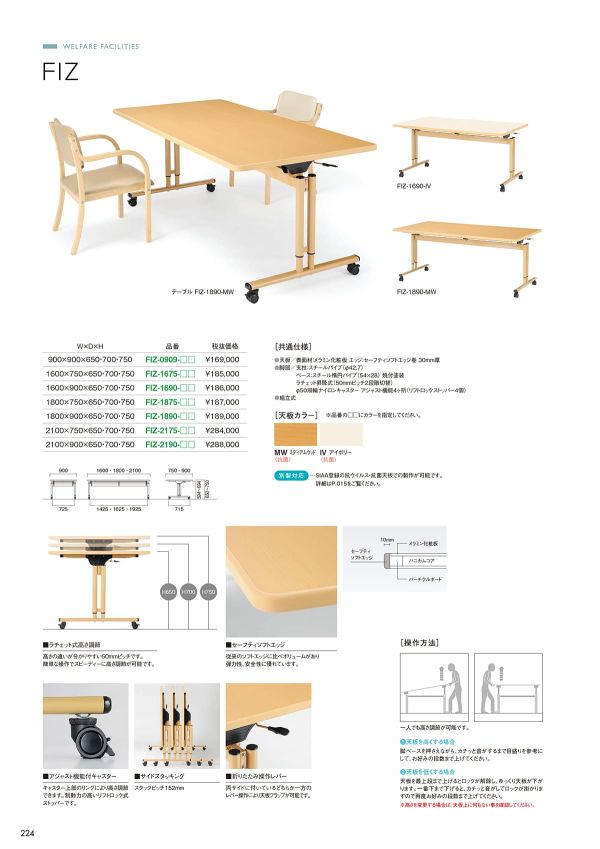 FIZ テーブルのカタログ画像-1