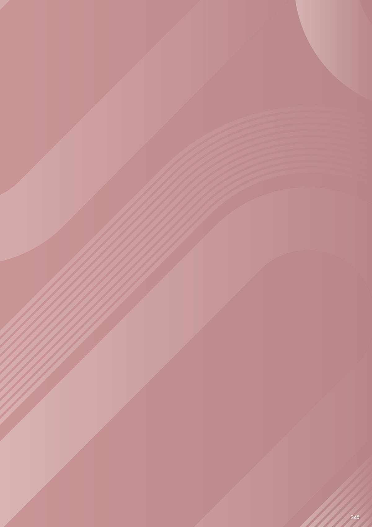 ニシキ工業 NISHIKI カタログ P245