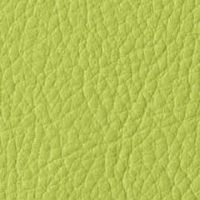 オリーブグリーン