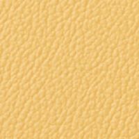 マスタードイエロー