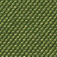 エルムグリーン