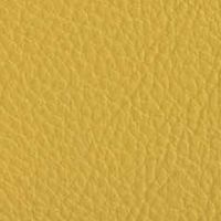 SMD2 シトラスイエロー