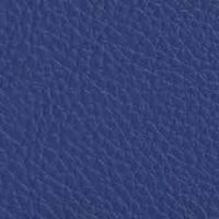 SMD2 プラムブルー