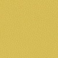 SMD2 シトラスイエロー