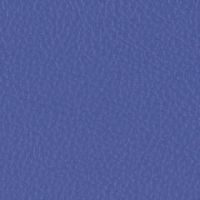 SMD2 プラムブルー