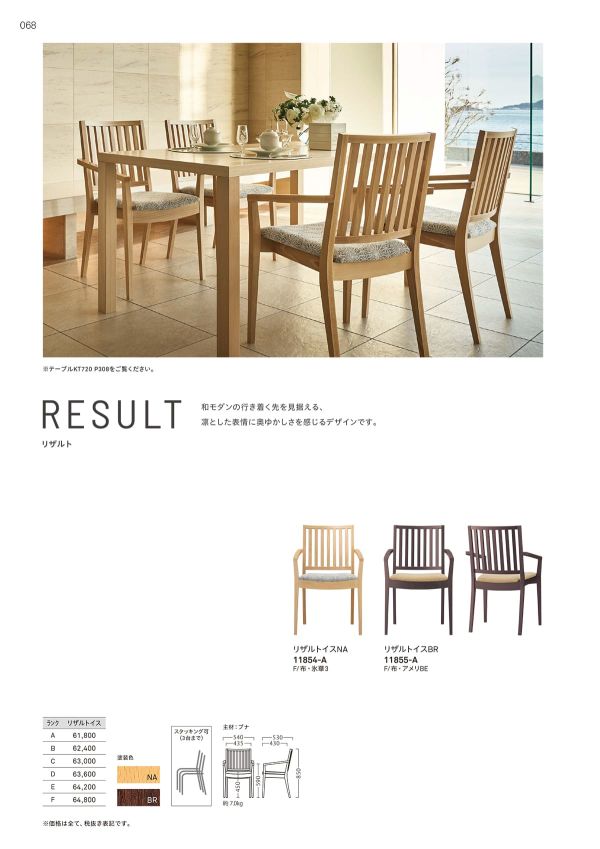 リザルトイスのカタログ画像-1