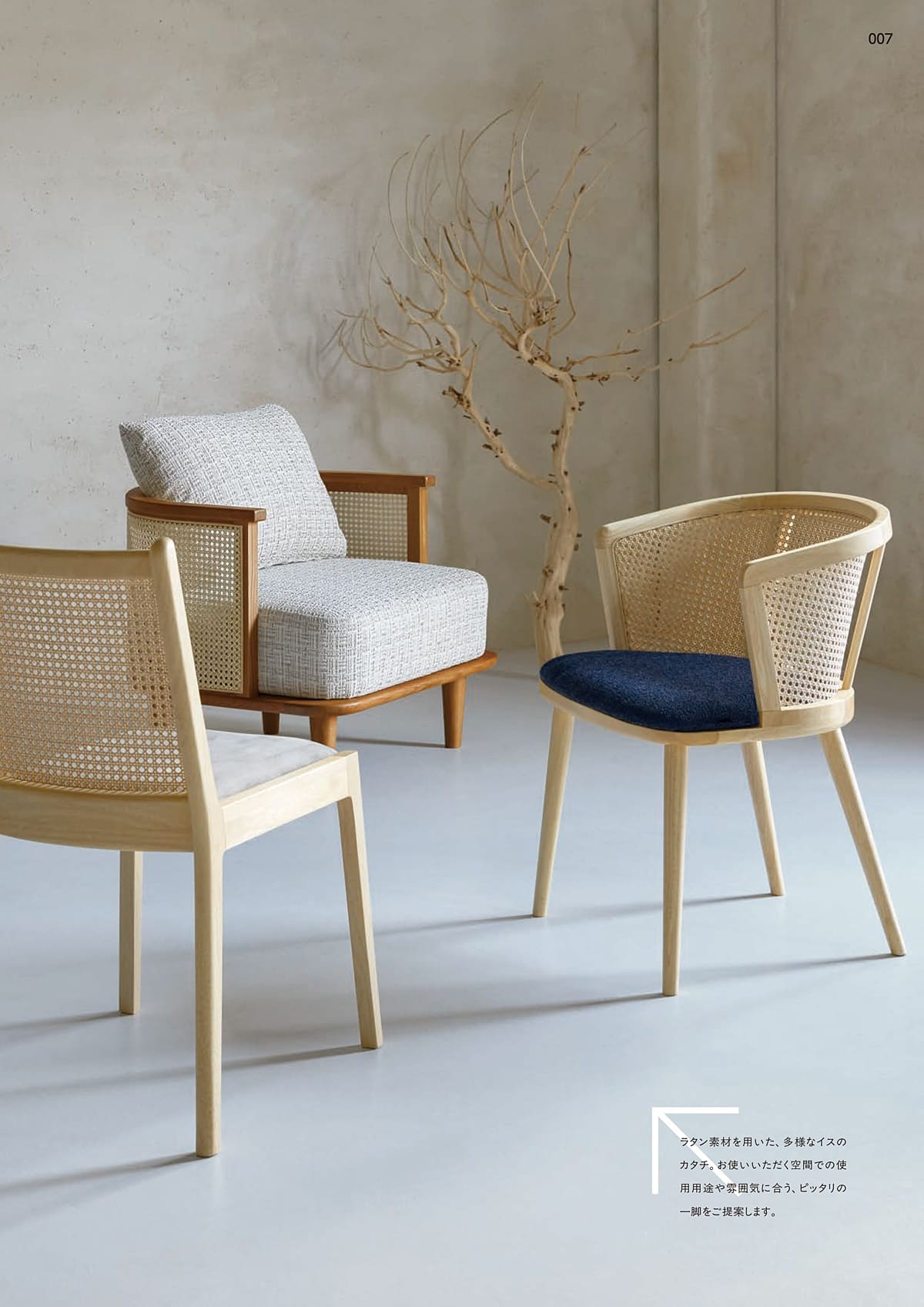 プロシード Proceed カタログ P7