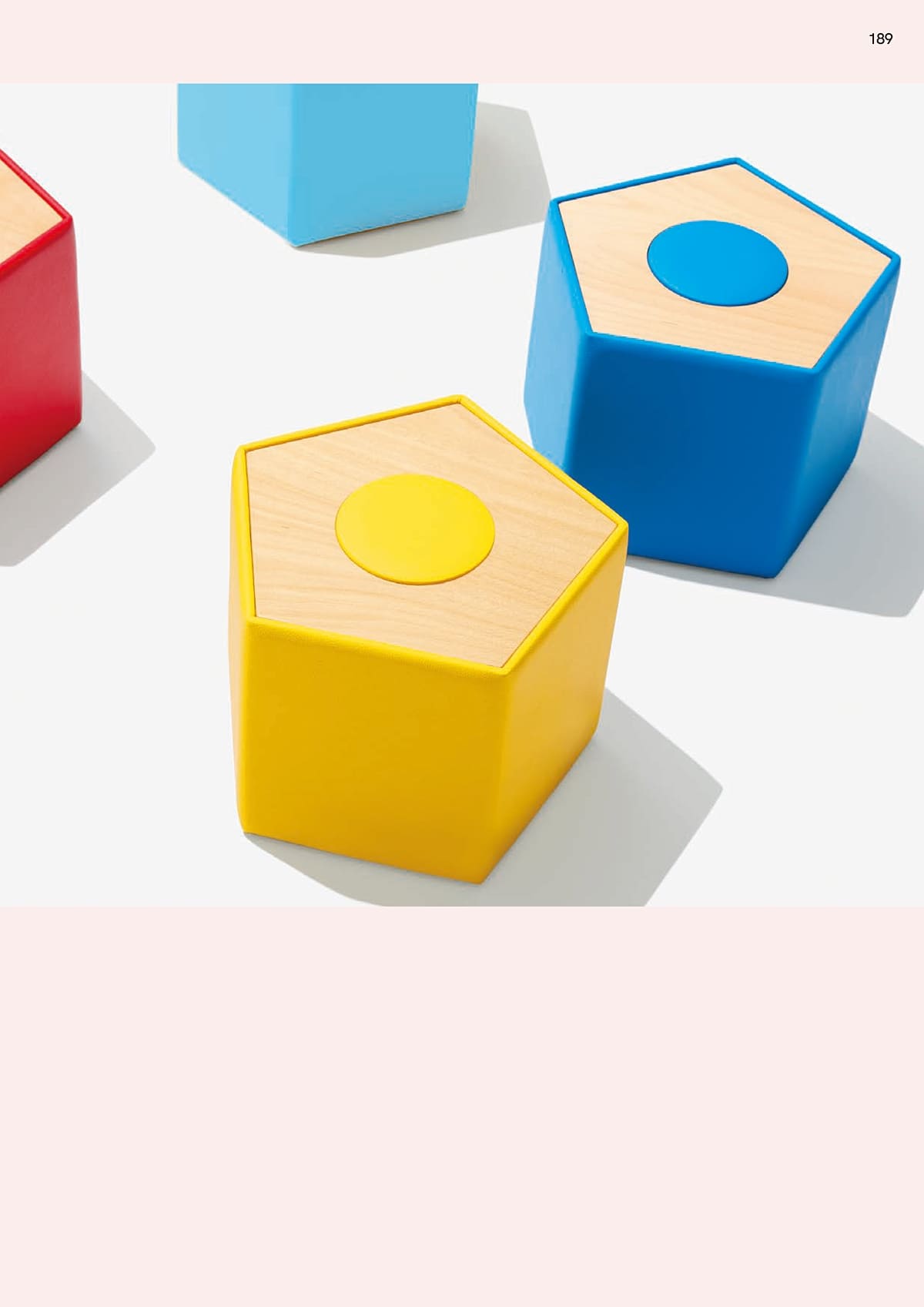 プロシード Proceed カタログ P189