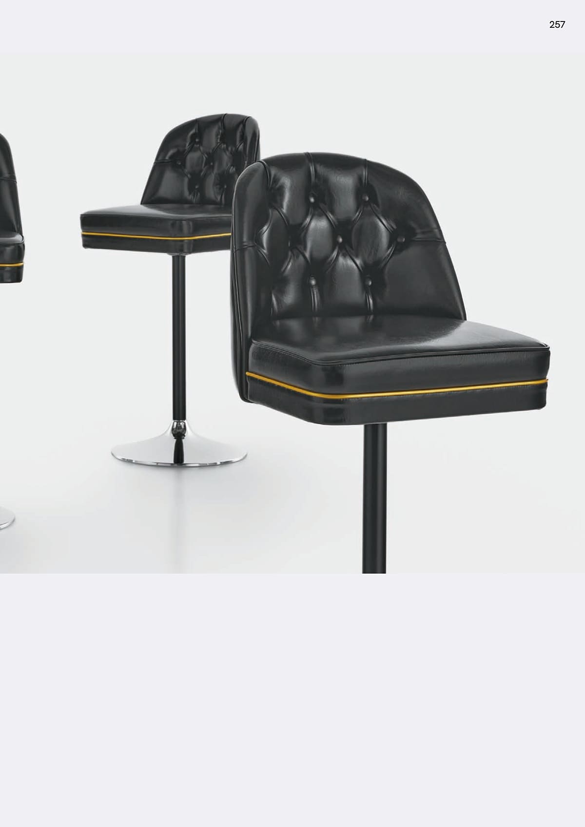 プロシード Proceed カタログ P257