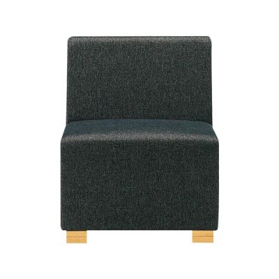 ラズールB（1）肘無