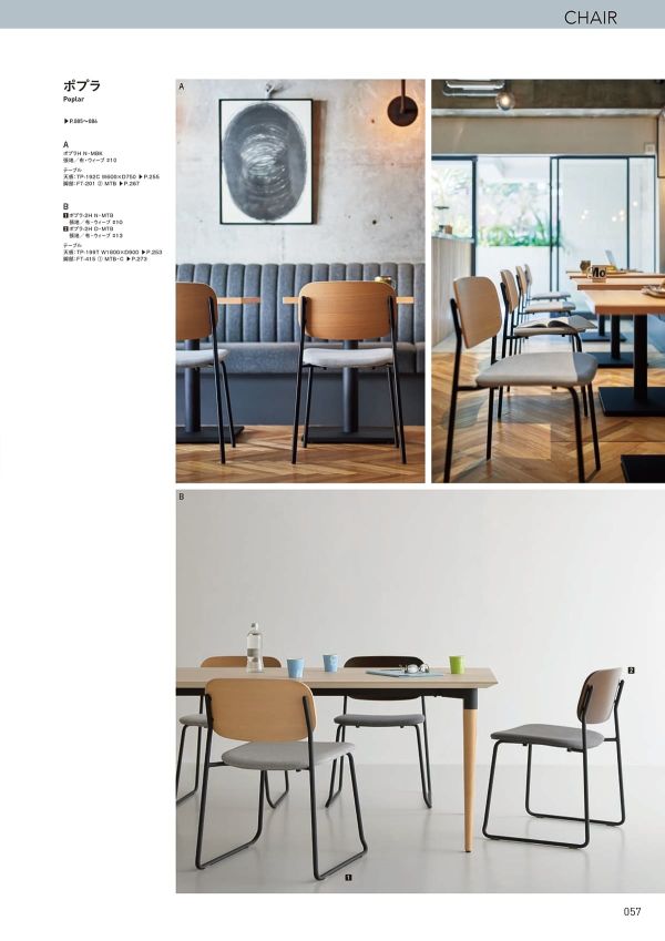 ポプラ-2H N／Dのカタログ画像-4