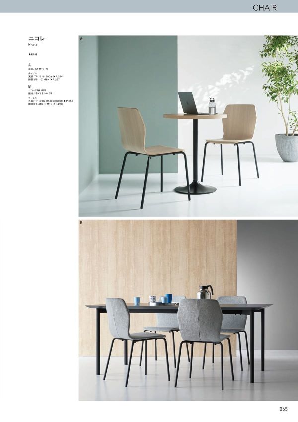 ニコレイスのカタログ画像-3