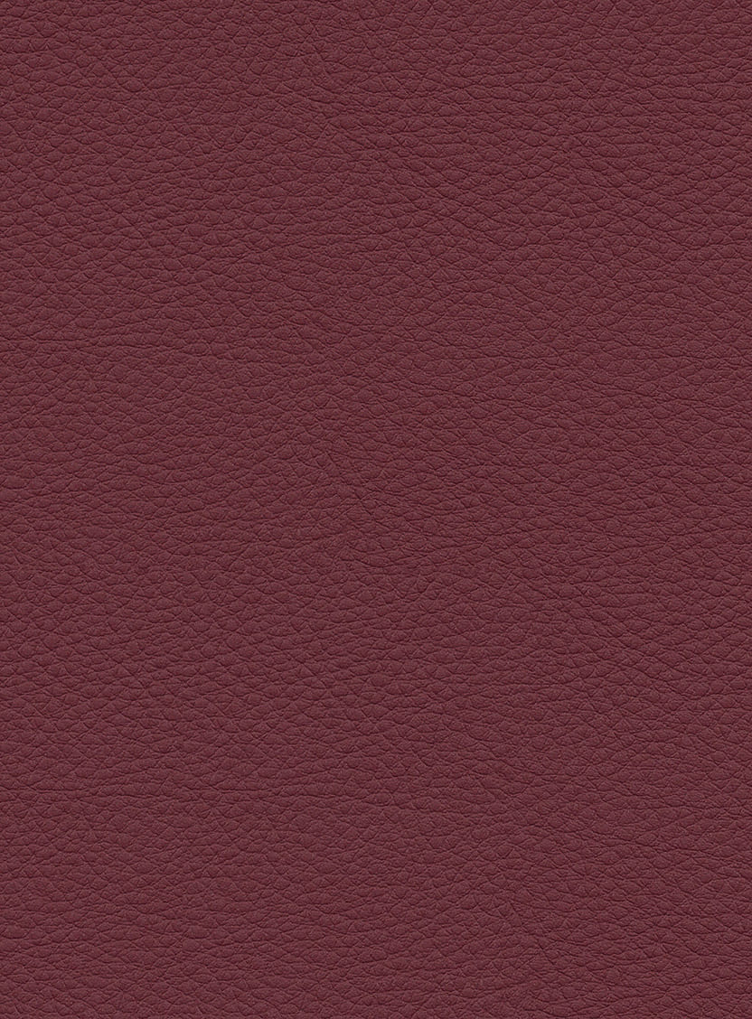 UP5061