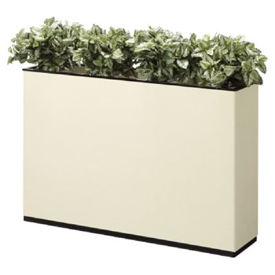 SFN シリーズ｜セイコーファミリーのフラワーボックス