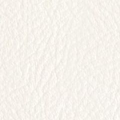 Aランク合成レザー アイコン／ICO-3