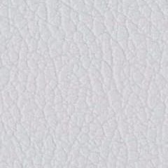 Aランク合成レザー プレザント／PL-21