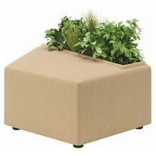 アゴラ・スツール-左 プランター 植栽付（Modernl-Low Type）