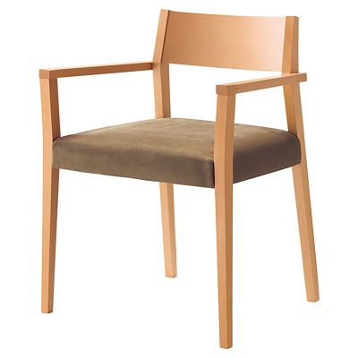 フローⅡ・肘付