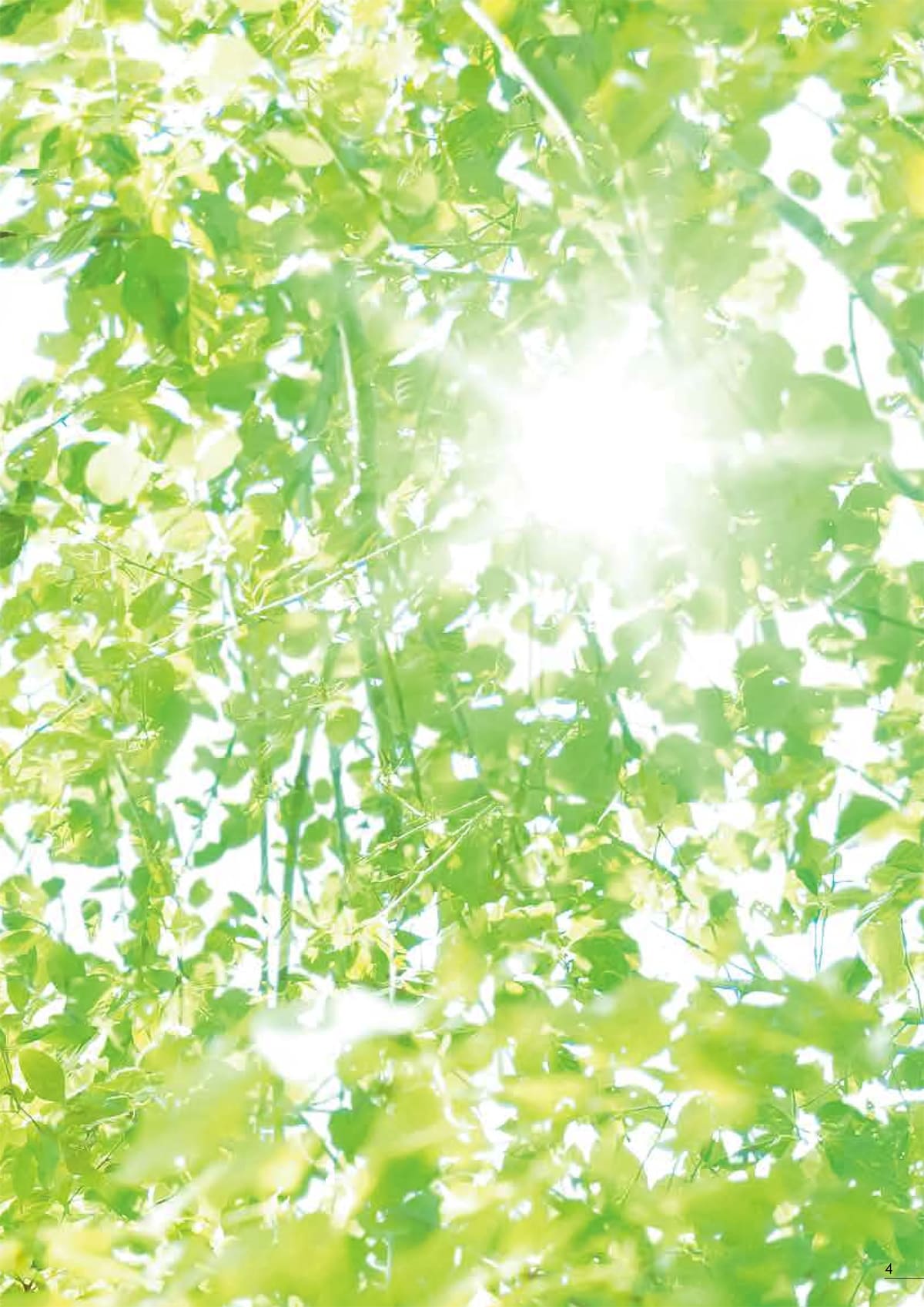 タカノ TAKANO カタログ P4