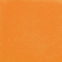 オレンジ（ビニールシート）