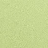 リーフグリーン