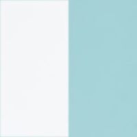 ホワイト/ミントグリーン