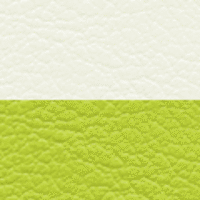 ホワイト×抹茶