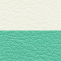 ホワイト×ライトグリーン