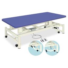 電動キャリーホーム（01） TB-576-01