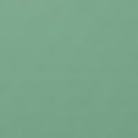 エバーグリーン