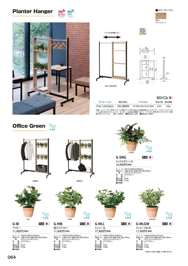 G-HIB 斑入りアイビーのカタログ画像-1
