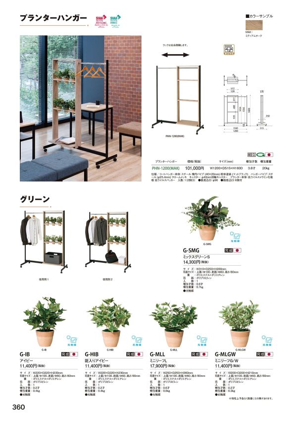 G-HIB 斑入りアイビーのカタログ画像-3